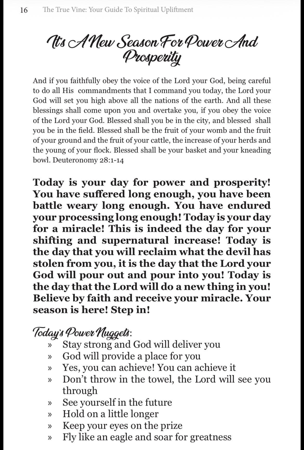 The True Vine Men’s Devotional | Christian Devotional for Men | Spiritual Growth & Discipline Workbook | Prayer Bible Study Guide for Men