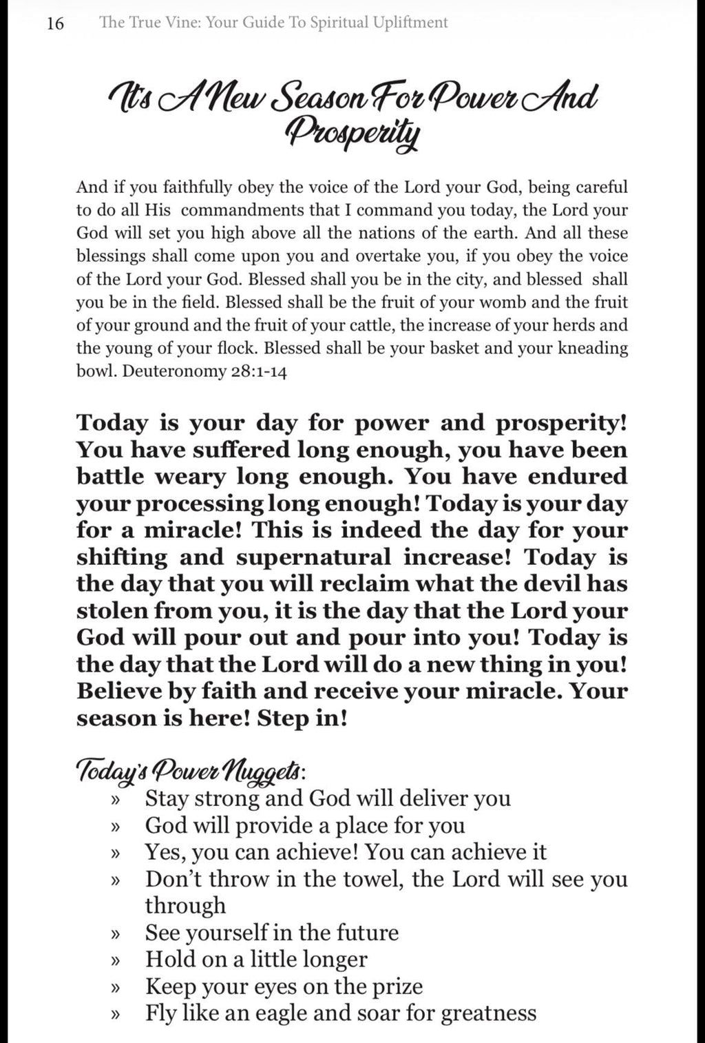 The True Vine Women’s Devotional | Christian Devotional for Women | Faith & Prayer Journal | Spiritual Growth Workbook for Women of God